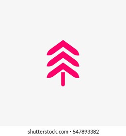 spruce, abstraction