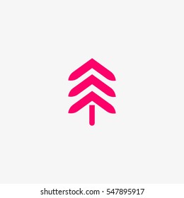 spruce, abstraction