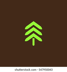 spruce, abstraction