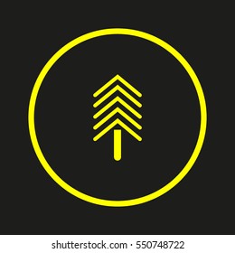 spruce, abstraction