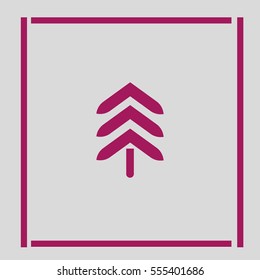 spruce, abstraction