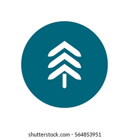 spruce, abstraction