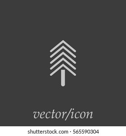 spruce, abstraction