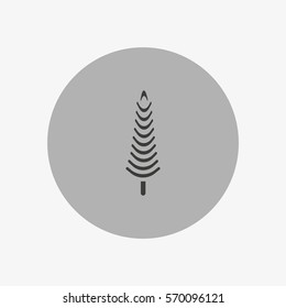 spruce, abstraction