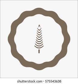 spruce, abstraction