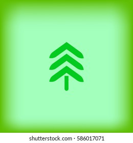 spruce, abstraction