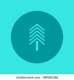 spruce, abstraction