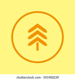 spruce, abstraction