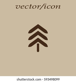spruce, abstraction