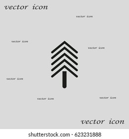 spruce, abstraction