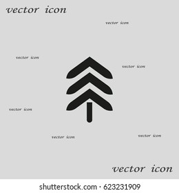 spruce, abstraction