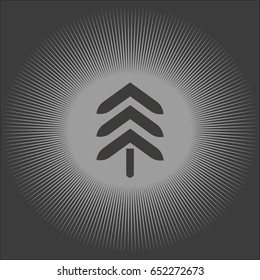 spruce, abstraction