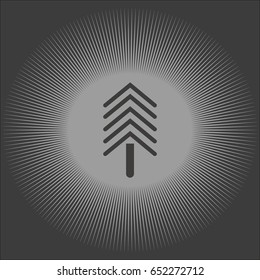 spruce, abstraction