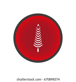 spruce, abstraction