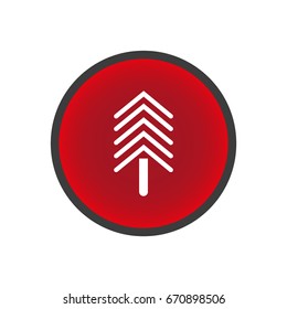 spruce, abstraction