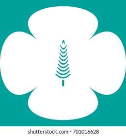 spruce, abstraction