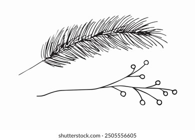 Spruce branch and berry branch, doodle illustration. Vector