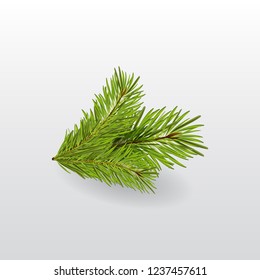 Spruce branch. Christmas decorations. Fir tree branch isolated over white background. Vector illustration. 
New Year Design Element