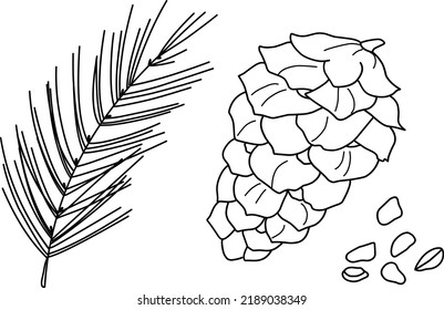 Spruce branch, cone, nuts illustration. Hand-drawn doodles illustration.
Line art. Icon