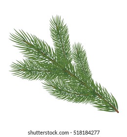 Spruce branch with cones. Vector illustration, isolated on white background. Suitable for creating Christmas cards, New Year presentations, banners.
