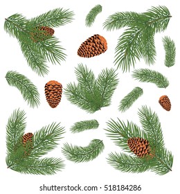 Spruce branch with cones. Vector illustration, isolated on white background. Suitable for creating Christmas cards, New Year presentations, banners.