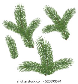 Spruce branch with cones. Vector illustration, isolated on white background. Suitable for creating Christmas cards, New Year presentations, banners