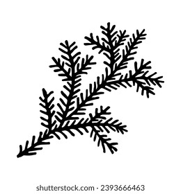 Spruce branch in doodle style.