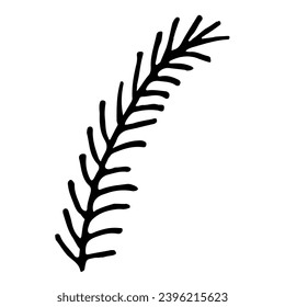 Spruce branch in doodle style.