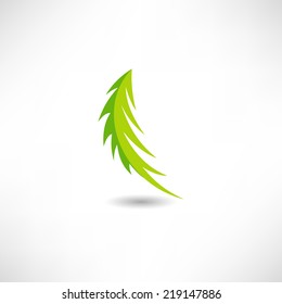 Spruce branch icon