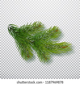 Spruce branch isolated on  background. Christmas tree branch. Realistic Christmas Vector illustration. Design element for Xmas cards. New year party posters.