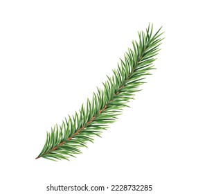 Spruce branch isolated on white background. Green fir. Realistic Christmas tree. Decorative element for Xmas cards, new year party decorations, web design. Vector illustration