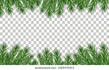 Spruce branch isolated on white background. Green fir. Realistic Christmas tree. Vector llustration for Xmas cards, New year party posters. 2024