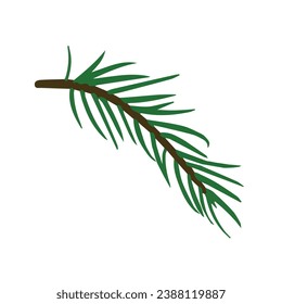 Spruce branch, isolated realistic decorative tree, Merry Christmas decor, pine illustration, fir tree design.