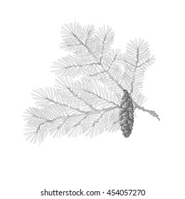 Spruce branch lush conifer isolated as vintage engraving vector illustration 