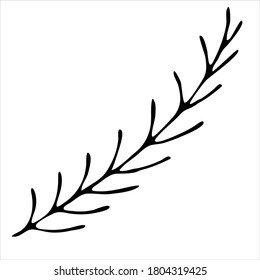 rama de abeto con agujas, libro de colorear de doodles de invierno lindo, elemento vector estilo doodle