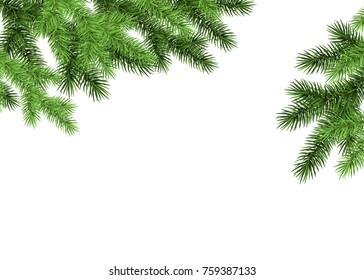 Spruce branch on white background. Green fir. Realistic Christmas tree. Vector illustration for Xmas cards, banners, flyers, New year party posters.