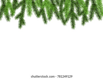 Spruce branch on white background. Green fir. Realistic Christmas tree. Vector illustration for Xmas  and New year cards, banners, flyers,  party posters.