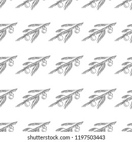 spruce branch seamless pattern isolated on white background