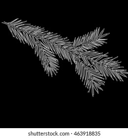 spruce branch vector illustration
