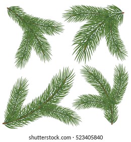 Spruce branch. Vector illustration, isolated on white background. Suitable for creating Christmas cards, New Year presentations, banners