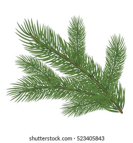 Spruce branch. Vector illustration, isolated on white background. Suitable for creating Christmas cards, New Year presentations, banners