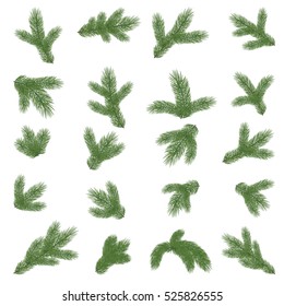 Spruce branch. Vector illustration, isolated on white background. Suitable for creating Christmas cards, New Year presentations, banners