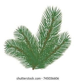 Spruce branch. Vector illustration, isolated on white background. Suitable for creating Christmas cards, New Year presentations, banners.
