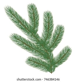 Spruce branch. Vector illustration, isolated on white background. Suitable for creating Christmas cards, New Year presentations, banners.