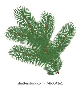 Spruce branch. Vector illustration, isolated on white background. Suitable for creating Christmas cards, New Year presentations, banners.