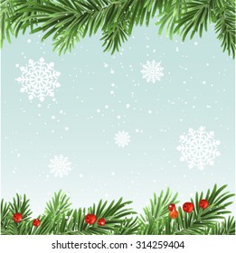 Spruce branches background. Illustration