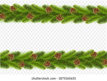 Spruce Branches With Cones Borders Transparent Background With Gradient Mesh, Vector Illustration