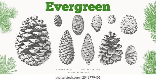 Spruce branches and cones set. Christmas stippling photocopy illustration