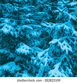 Spruce branches covered with snow. abstract multicoloured background. vector illustration.