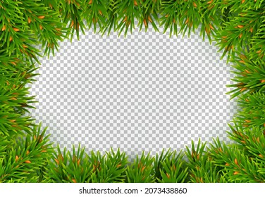 Spruce branches - frame decorate banner. Christmas poster for New Year advertising. Rectangular poster with empty space for text. Realistic style. Transparent background. Vector.